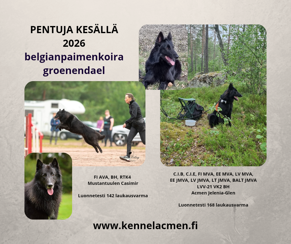 M pentue 2026