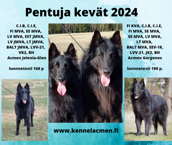 pentuemainos